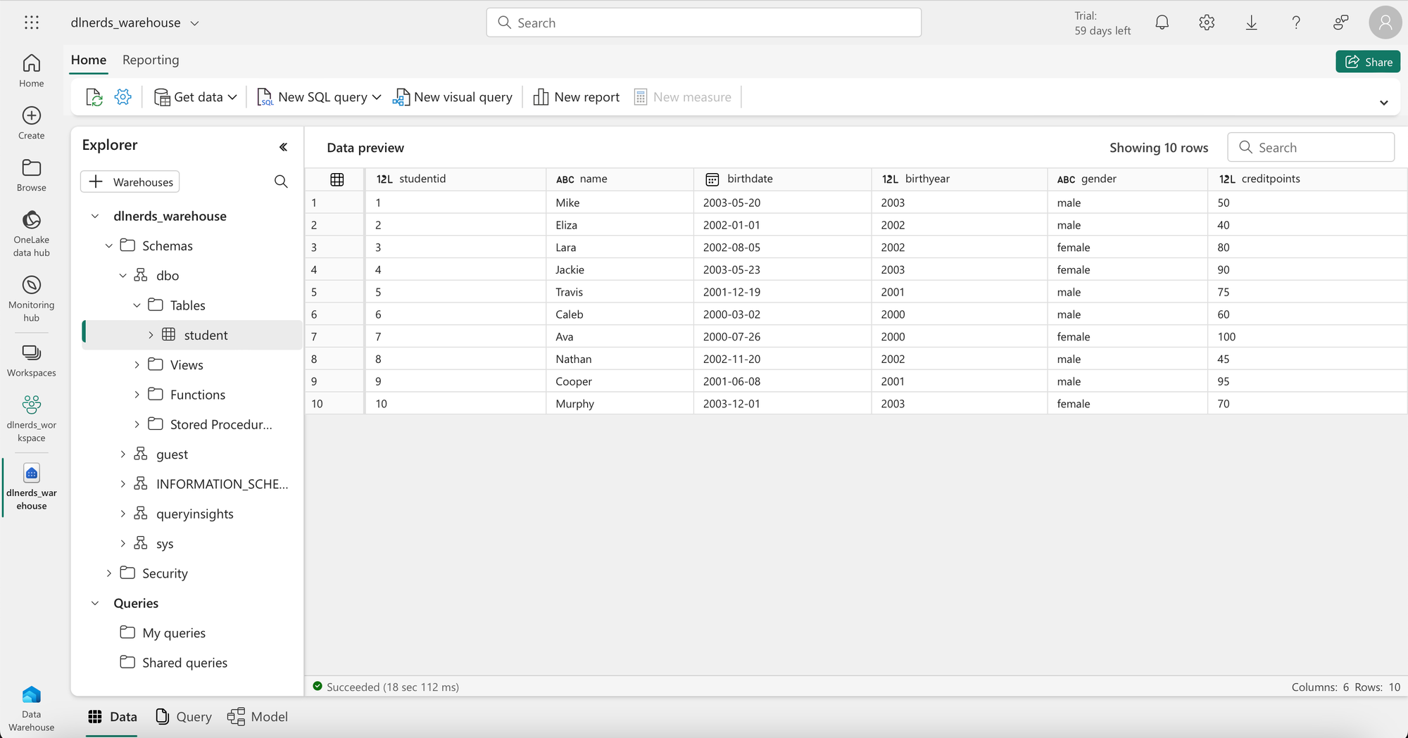 How to query Data from a Fabric Warehouse with T-SQL