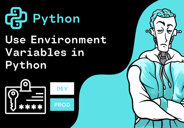 How to use Environment Variables in Python